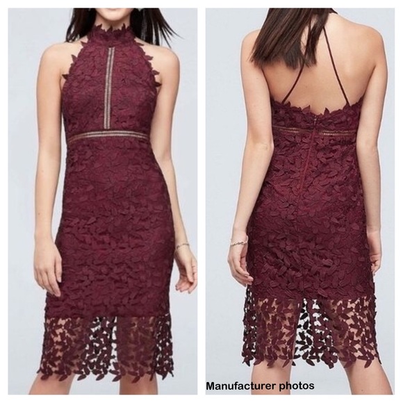 Bardot Gemma Lace Halter Dress - Picture 11 of 11